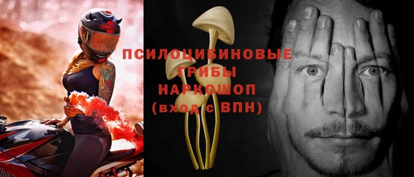 apvp Новодвинск