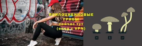 прущая мука Няндома