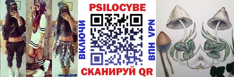 закладки  Ясный  Псилоцибиновые грибы Cubensis 